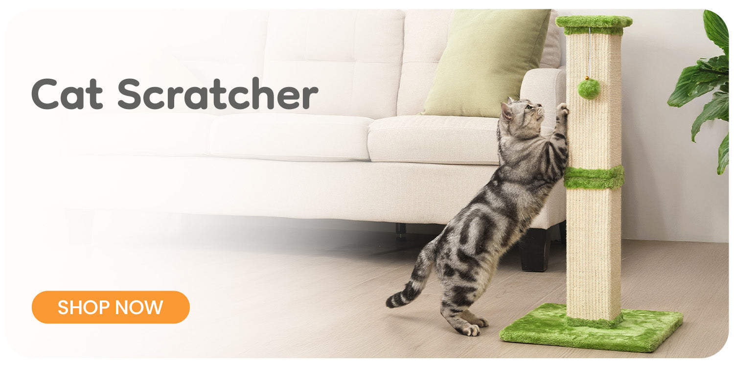 Cat Scratcher
