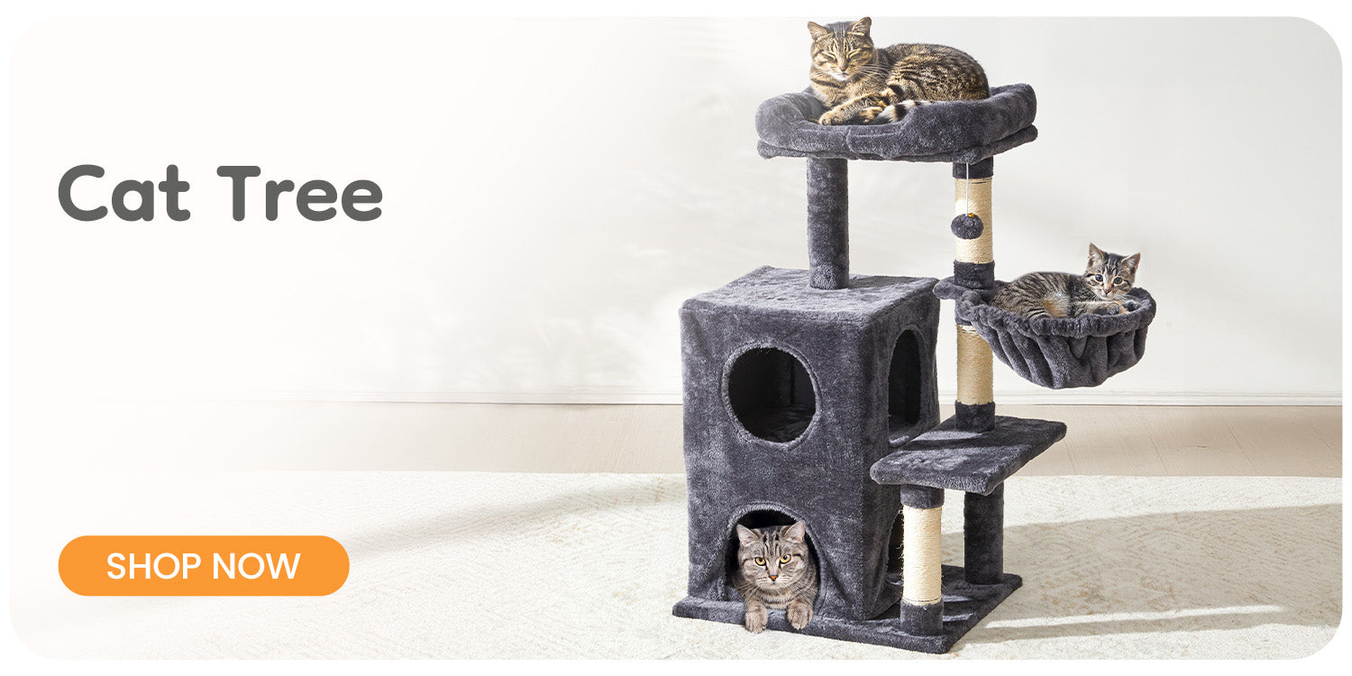 Cat Tree