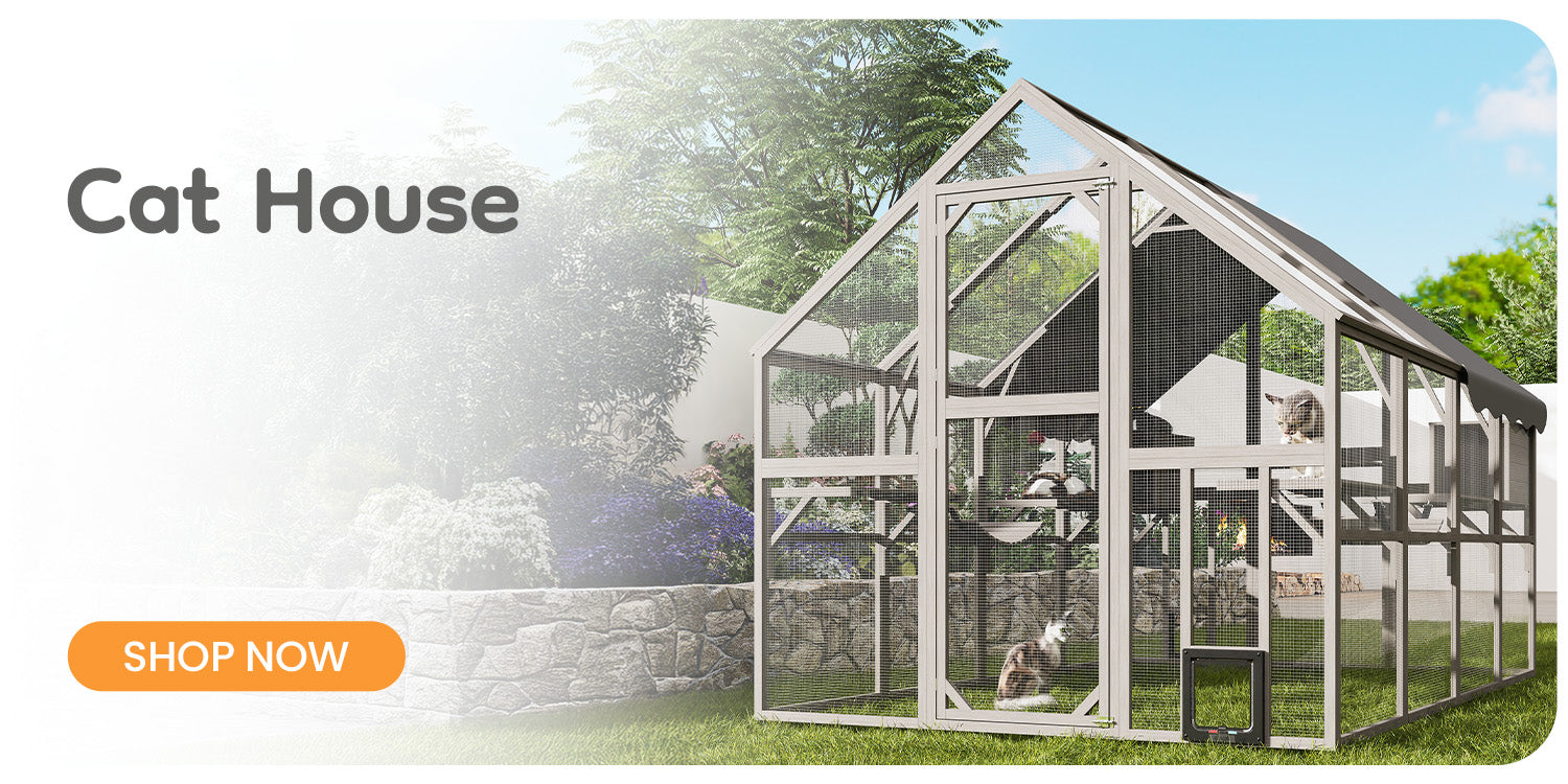 Cat House