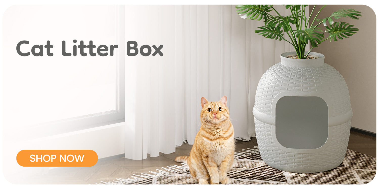 Cat Litter Box