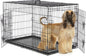 Dog Crate with Double Doors, 24- 53 Inch